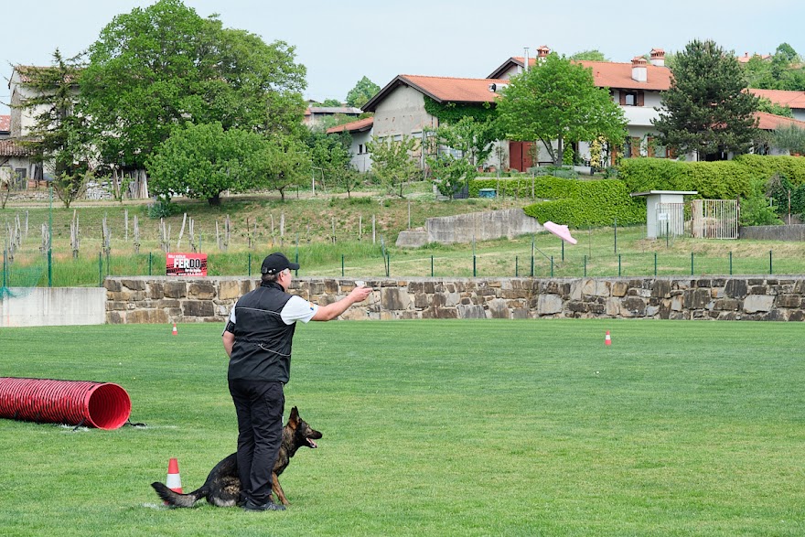 FCI SAR WC 2026_Foto-Andrej Gustincic_493.jpg