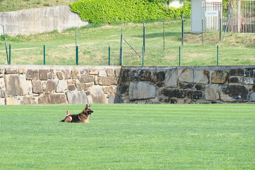 FCI SAR WC 2026_Foto-Andrej Gustincic_372.jpg