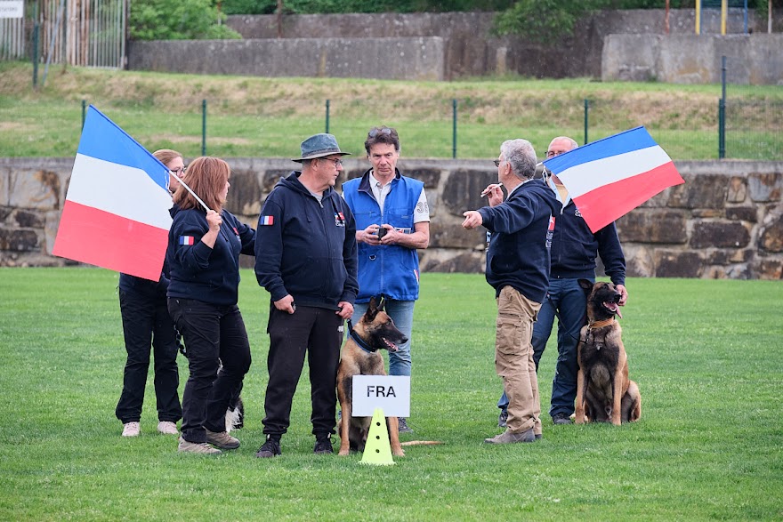 FCI SAR WC 2026_Foto-Andrej Gustincic_569.jpg