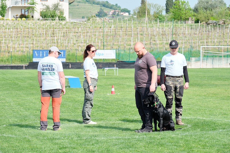 FCI SAR WC 2026_Foto-Andrej Gustincic_389.jpg