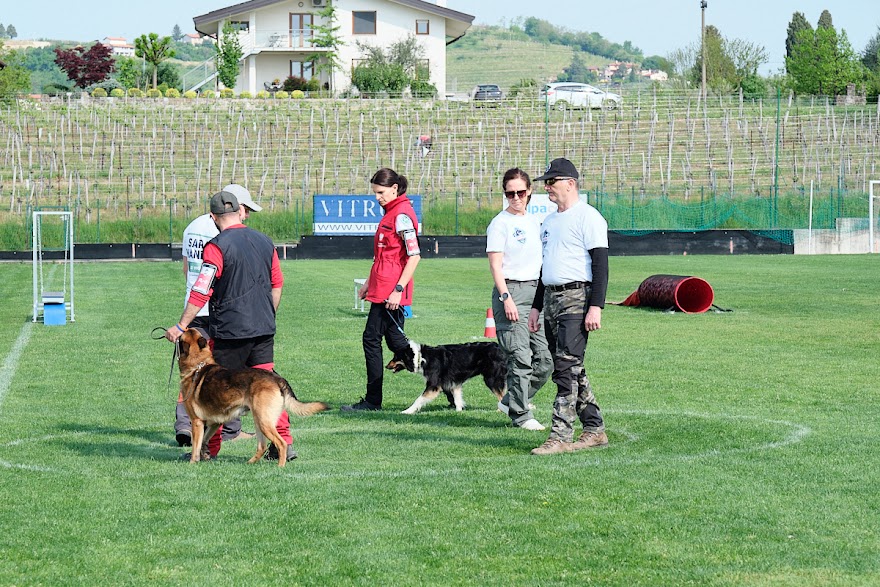 FCI SAR WC 2026_Foto-Andrej Gustincic_347.jpg