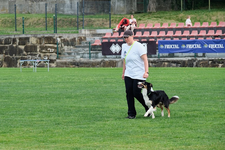 FCI SAR WC 2026_Foto-Andrej Gustincic_464.jpg