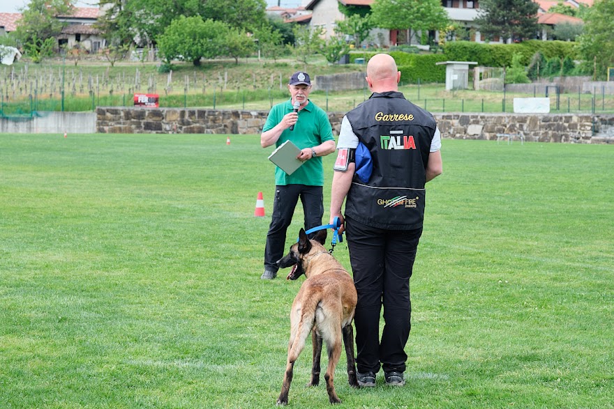 FCI SAR WC 2026_Foto-Andrej Gustincic_553.jpg