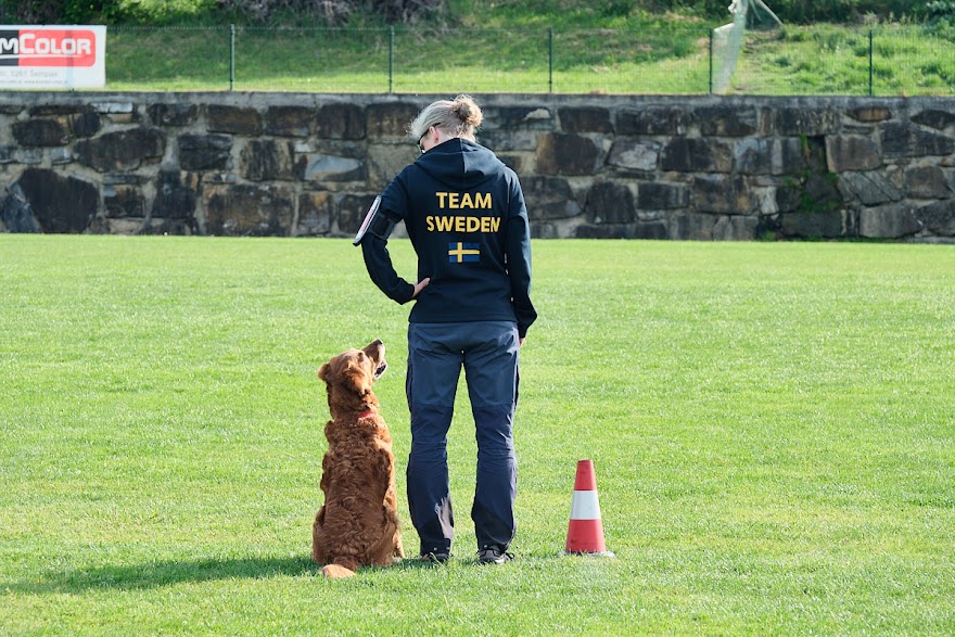 FCI SAR WC 2026_Foto-Andrej Gustincic_278.jpg