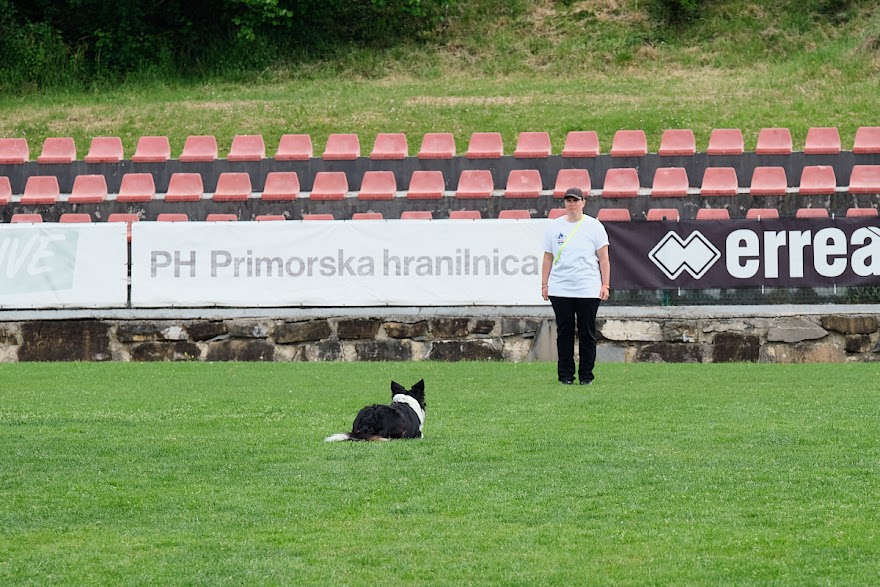 FCI SAR WC 2026_Foto-Andrej Gustincic_467.jpg