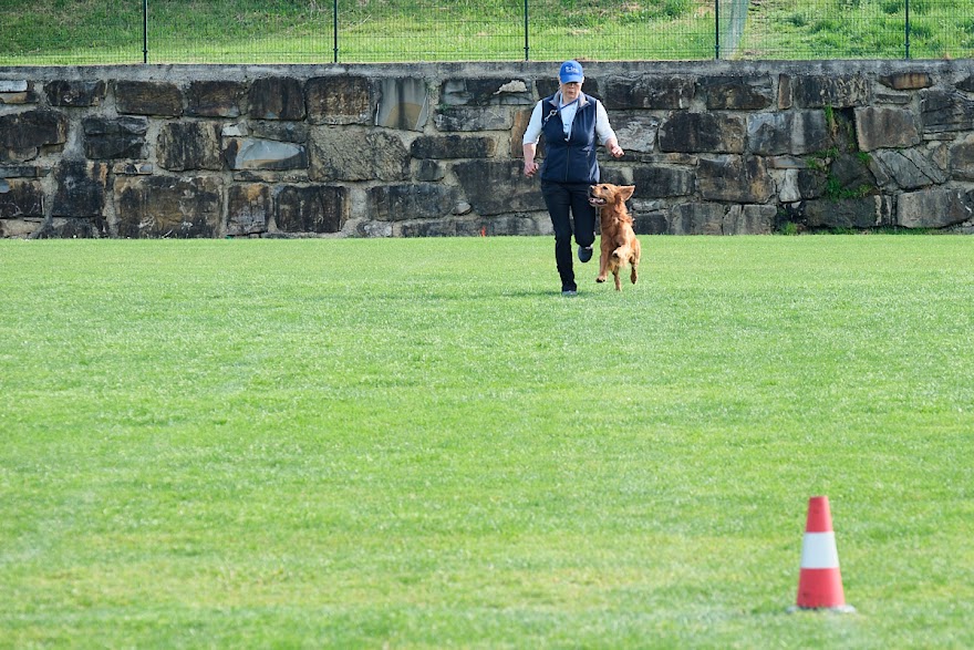FCI SAR WC 2026_Foto-Andrej Gustincic_328.jpg