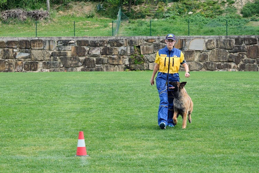 FCI SAR WC 2026_Foto-Andrej Gustincic_506.jpg