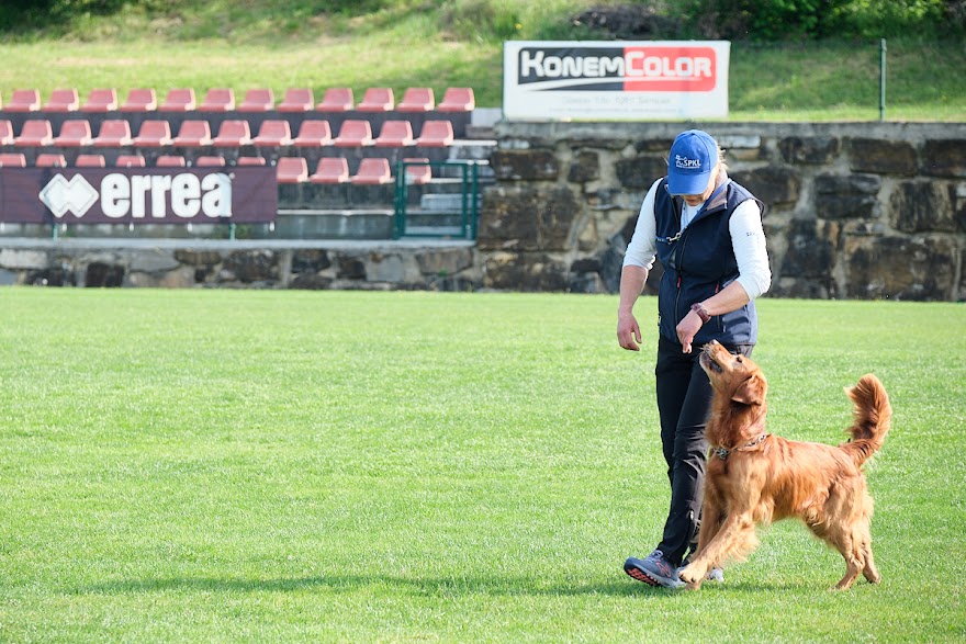 FCI SAR WC 2026_Foto-Andrej Gustincic_326.jpg