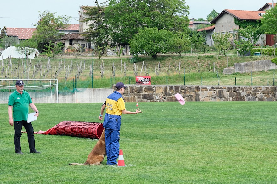 FCI SAR WC 2026_Foto-Andrej Gustincic_511.jpg
