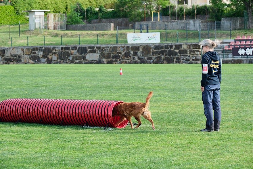 FCI SAR WC 2026_Foto-Andrej Gustincic_295.jpg