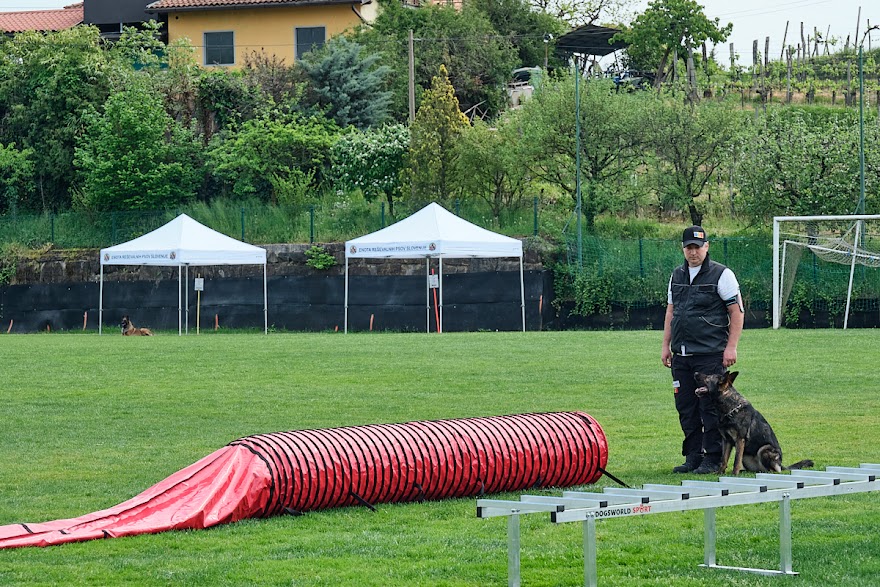 FCI SAR WC 2026_Foto-Andrej Gustincic_499.jpg