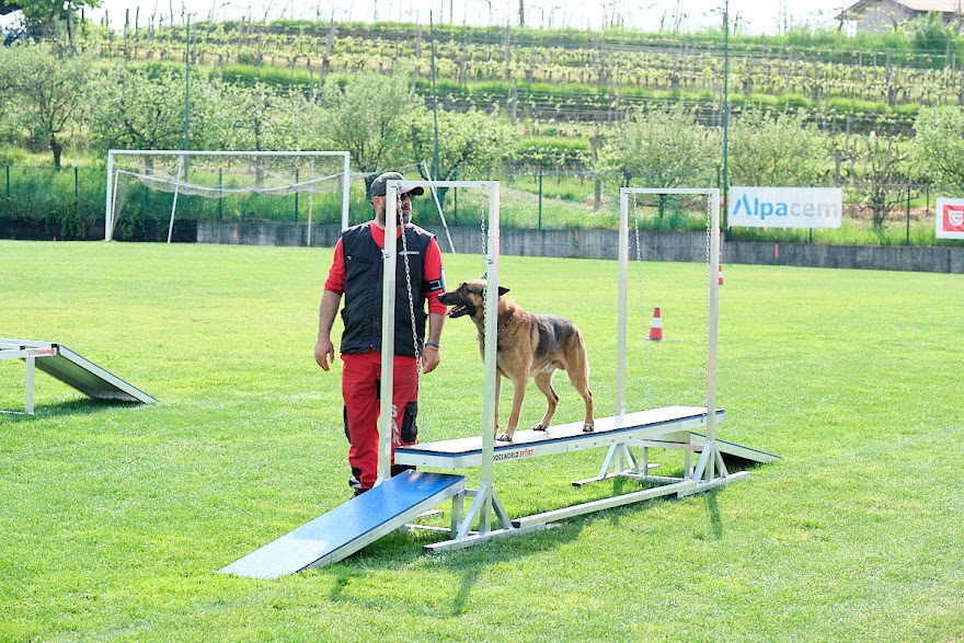 FCI SAR WC 2026_Foto-Andrej Gustincic_379.jpg