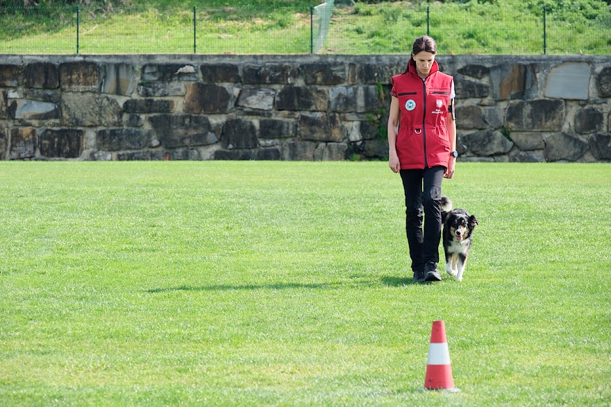FCI SAR WC 2026_Foto-Andrej Gustincic_351.jpg