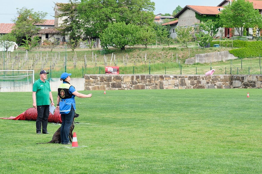 FCI SAR WC 2026_Foto-Andrej Gustincic_449.jpg