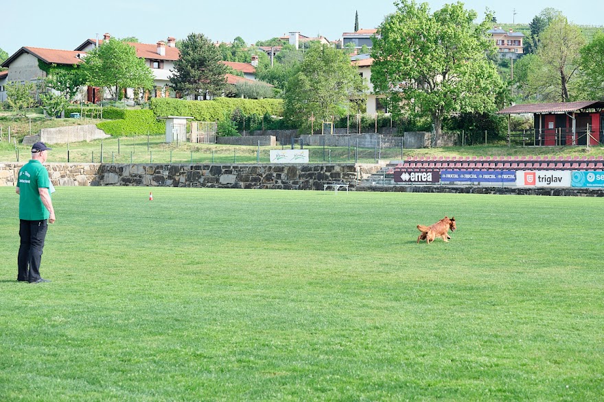 FCI SAR WC 2026_Foto-Andrej Gustincic_332.jpg