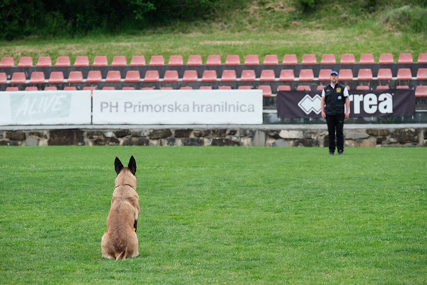 FCI SAR WC 2026_Foto-Andrej Gustincic_537.jpg