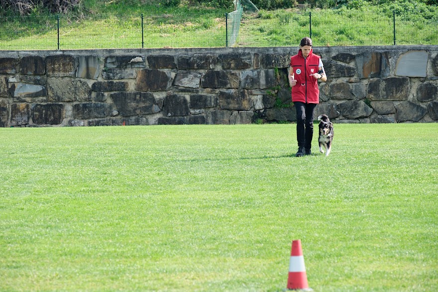 FCI SAR WC 2026_Foto-Andrej Gustincic_350.jpg