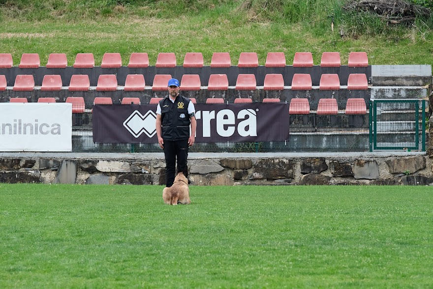 FCI SAR WC 2026_Foto-Andrej Gustincic_538.jpg