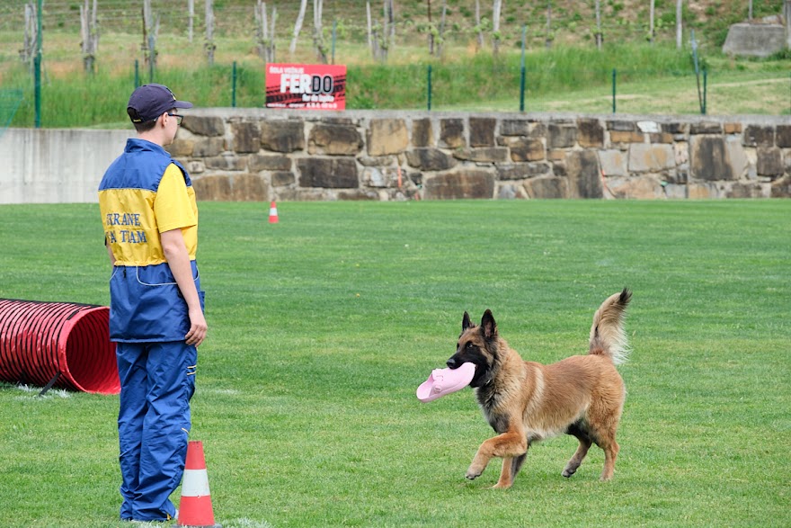 FCI SAR WC 2026_Foto-Andrej Gustincic_512.jpg