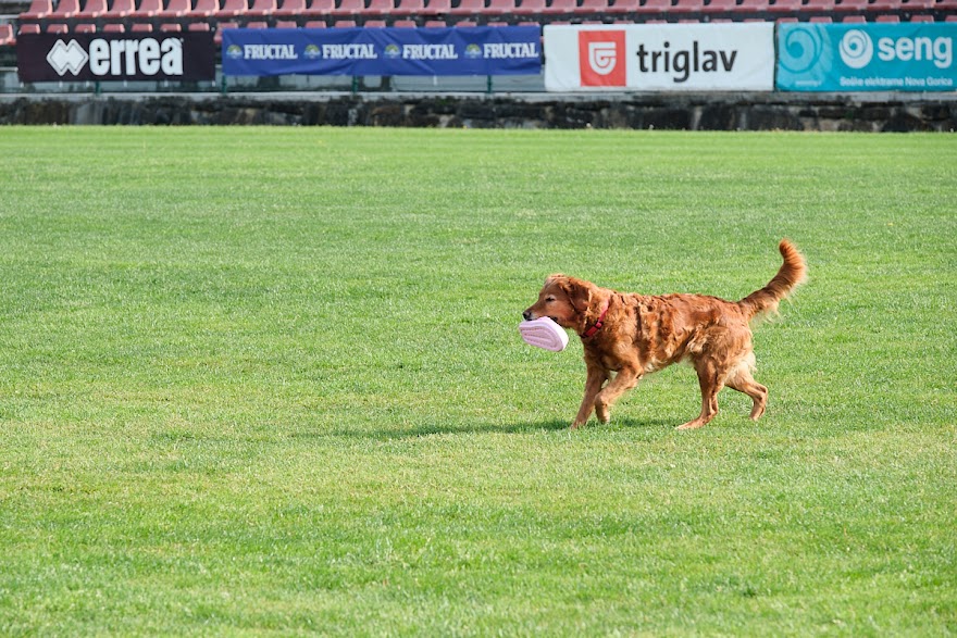 FCI SAR WC 2026_Foto-Andrej Gustincic_288.jpg