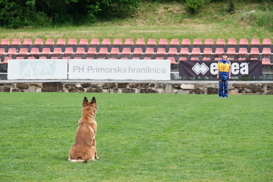 FCI SAR WC 2026_Foto-Andrej Gustincic_509.jpg