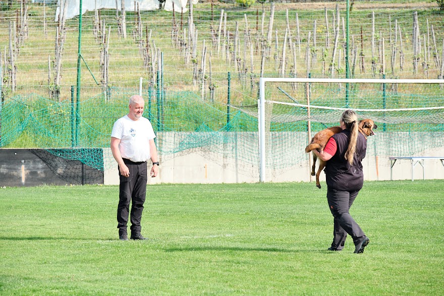 FCI SAR WC 2026_Foto-Andrej Gustincic_322.jpg