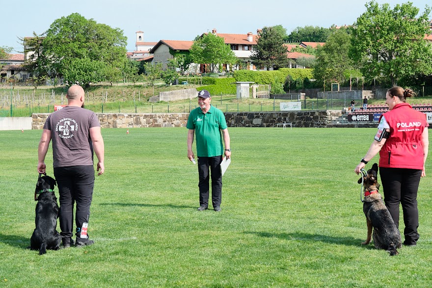 FCI SAR WC 2026_Foto-Andrej Gustincic_386.jpg