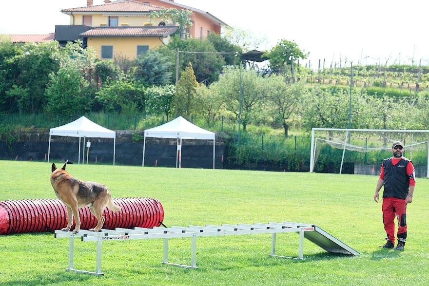FCI SAR WC 2026_Foto-Andrej Gustincic_378.jpg