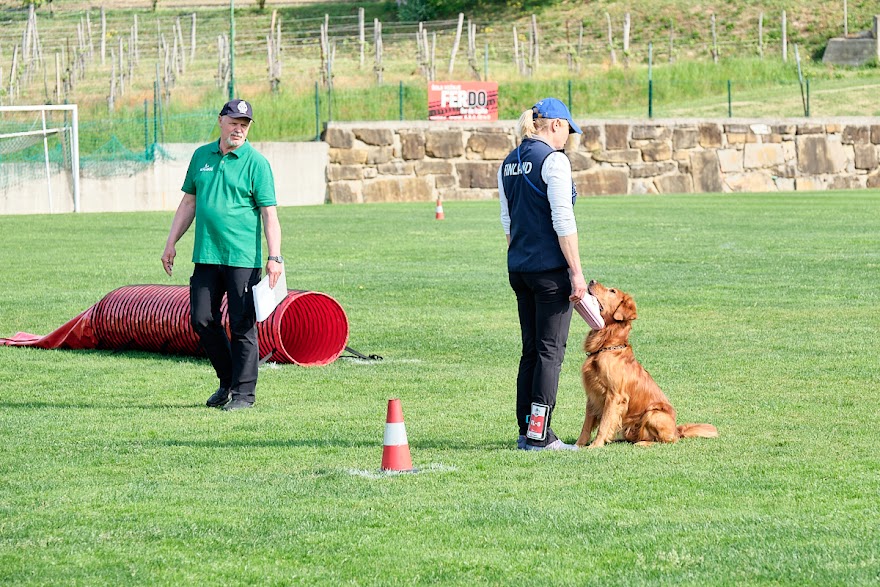 FCI SAR WC 2026_Foto-Andrej Gustincic_335.jpg