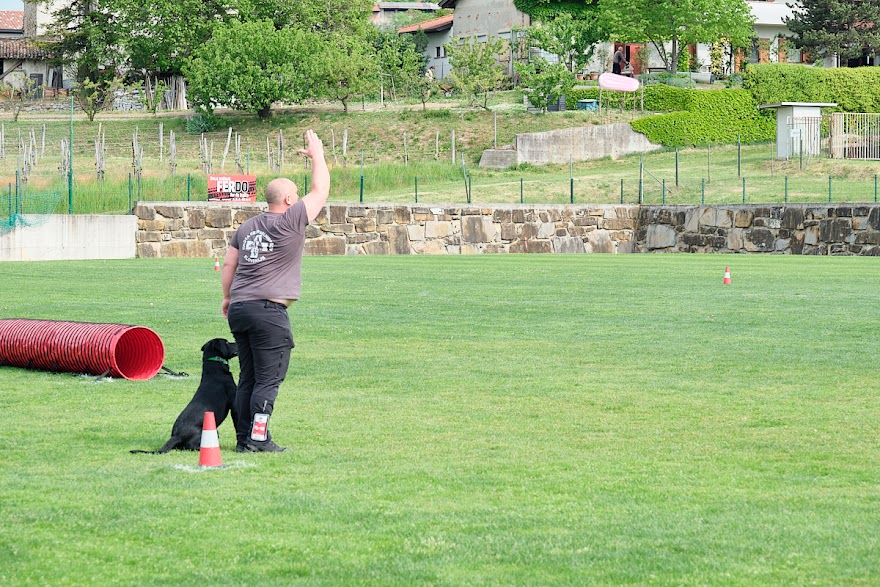 FCI SAR WC 2026_Foto-Andrej Gustincic_412.jpg