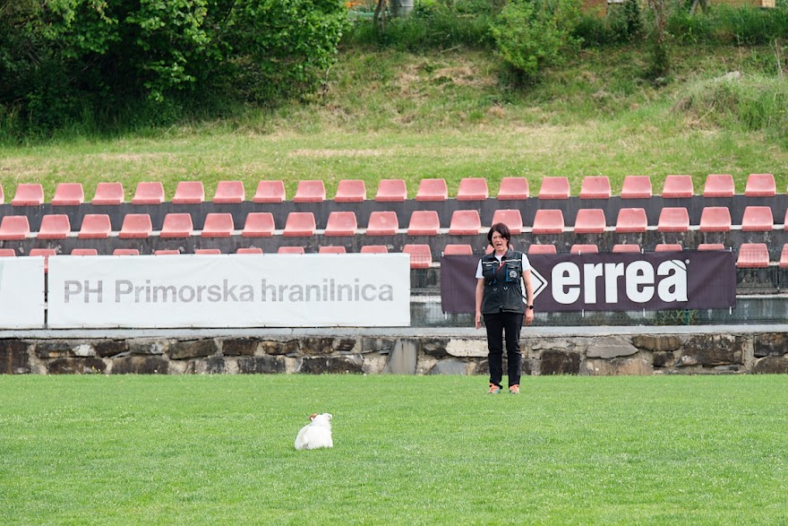 FCI SAR WC 2026_Foto-Andrej Gustincic_430.jpg
