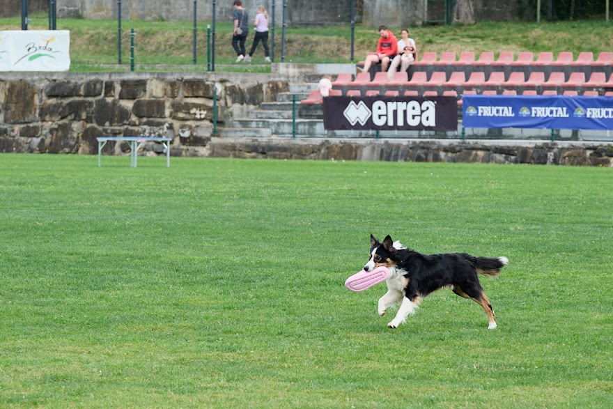 FCI SAR WC 2026_Foto-Andrej Gustincic_469.jpg