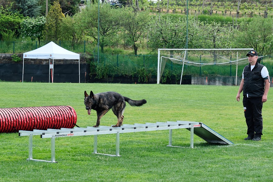 FCI SAR WC 2026_Foto-Andrej Gustincic_501.jpg