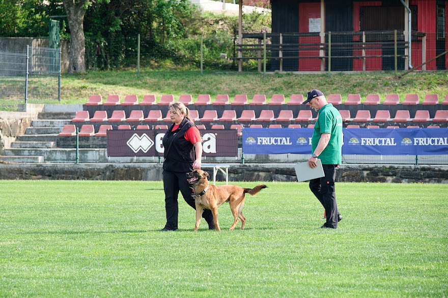 FCI SAR WC 2026_Foto-Andrej Gustincic_321.jpg