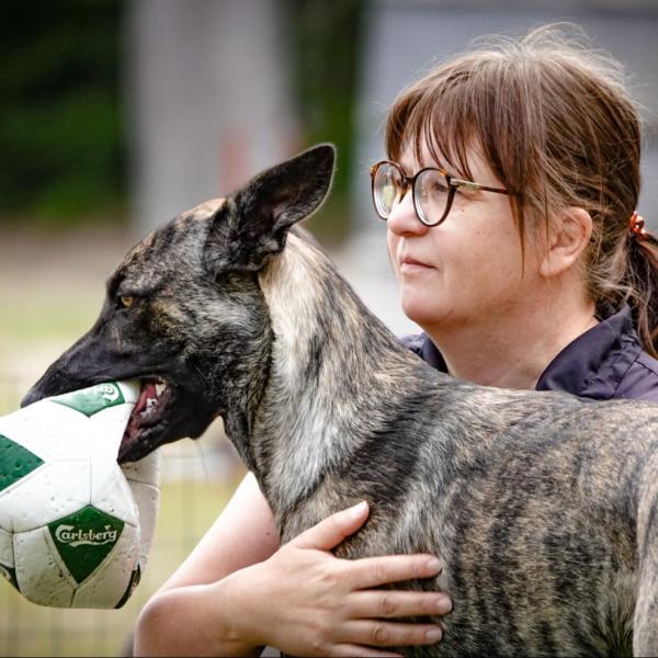 Kirsi Liikanen in pes 