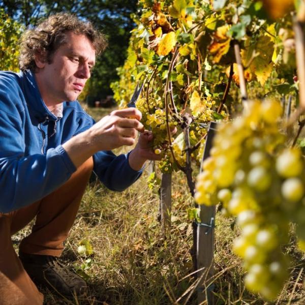 Image of Burja Estate