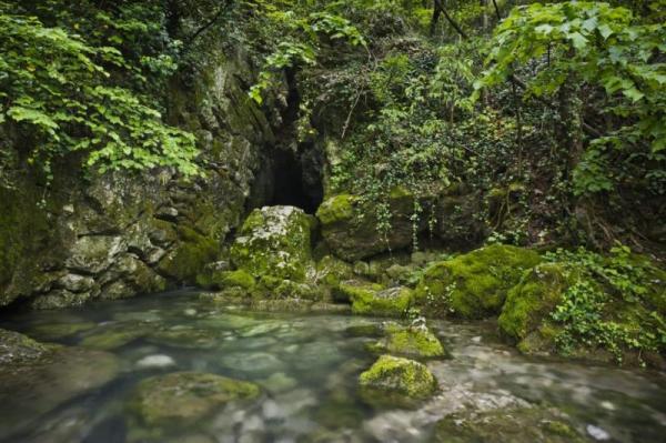 Image of Vipava Springs