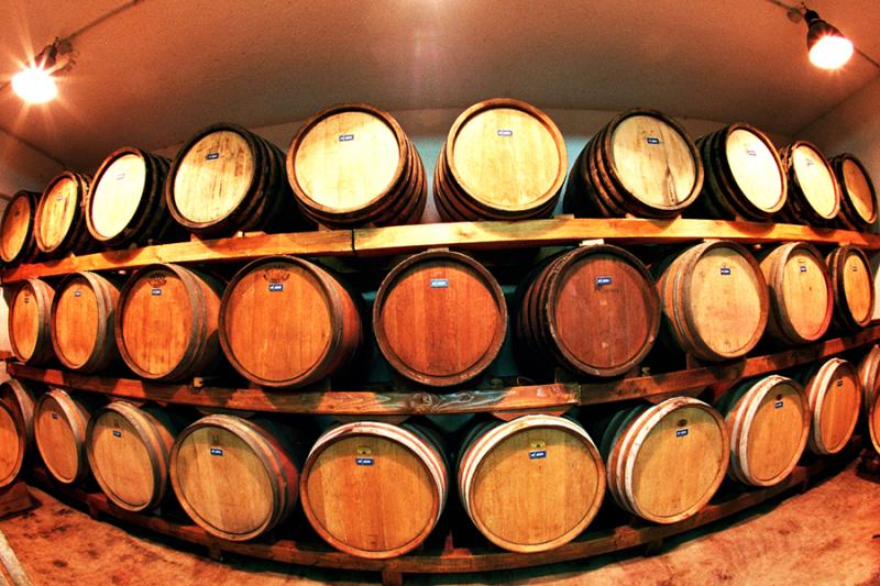 Image of Saksida Wine & Camping Resort